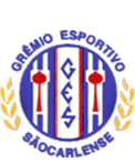 Escudo Sãocarlense.png