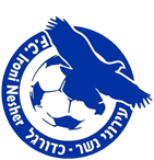 Escudo Ironi Nesher.png