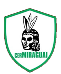 Escudo Miraguai.png
