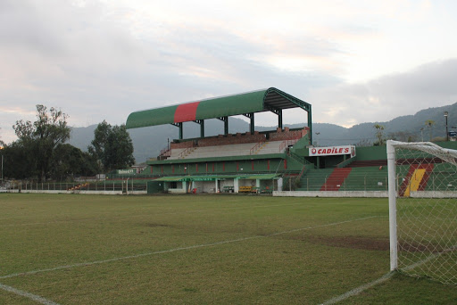 Arquivo:Estádio dos Eucaliptos (Santa Maria).jpg