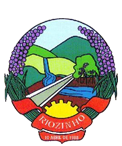 Escudo Seleção de Riozinho.png