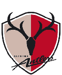 Arquivo:Escudo Kashima Antlers.png