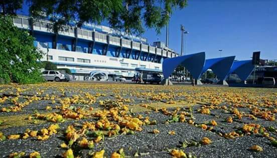 Arquivo:Imagem em destaque - 6 de junho.jpg