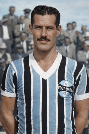 Arquivo:Caetano Allegretti.png