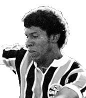 Francisco Carlos Jardim de Carvalho.png