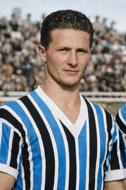 Rubi Ottomar Scheiner.png