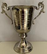 Troféu Campeonato Sul-Brasileiro - Federação Paranaense.png