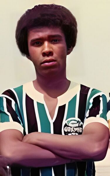 Arquivo:Alzio Martha de Freitas.jpg