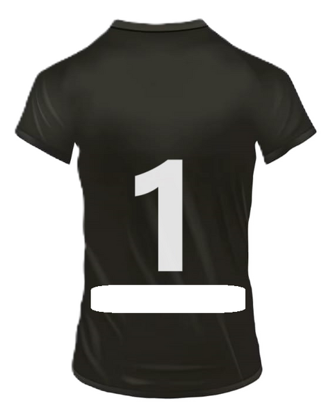 Arquivo:Logo Costas Inferior1.png