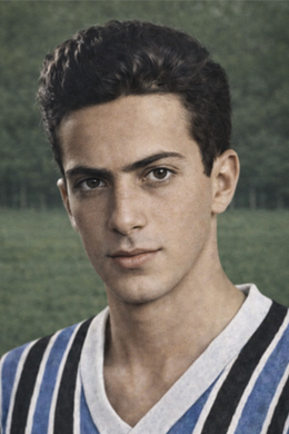 Francisco P. Fernandes.png