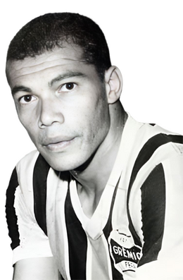 Volmir Francisco de Souza.png