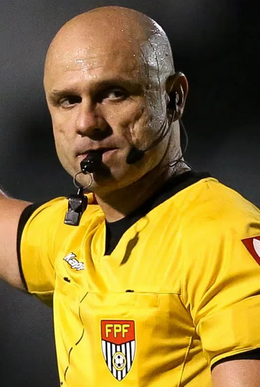 Vinicius Gonçalves Dias Araújo.png