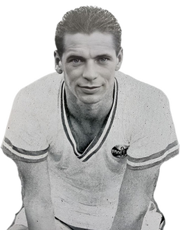 Higino Ribeiro Neto.png