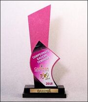 Troféu Gauchão Feminino 2018.jpg