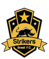 Escudo Strikers.png