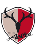 Kashima Antlers