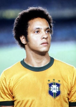 José Reinaldo de Lima.png