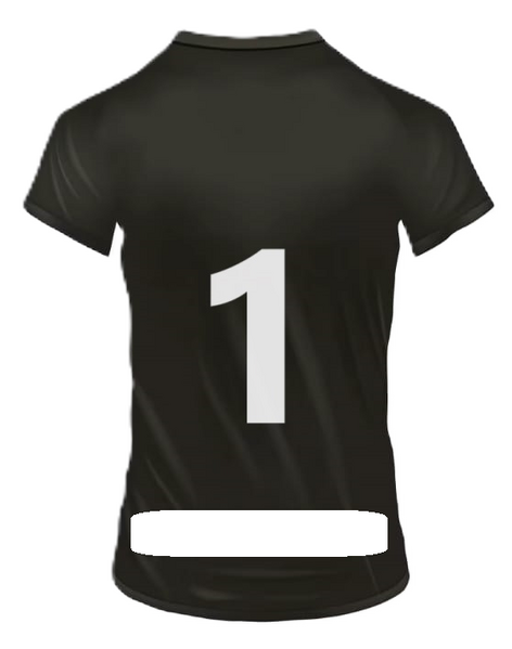 Arquivo:Logo Costas Inferior2.png