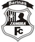 Escudo Zamora.png